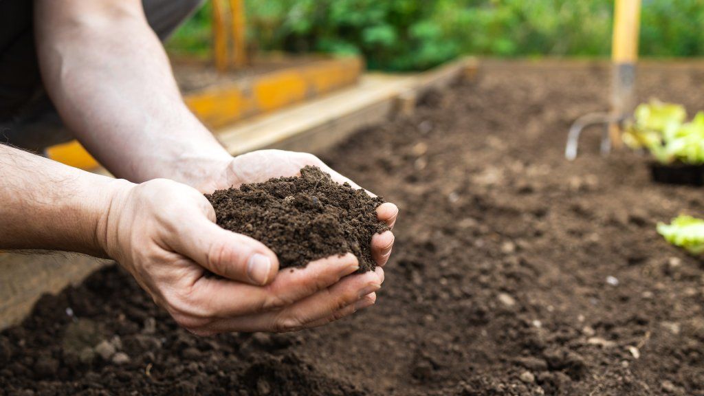 Hands holding soil over a garden bed