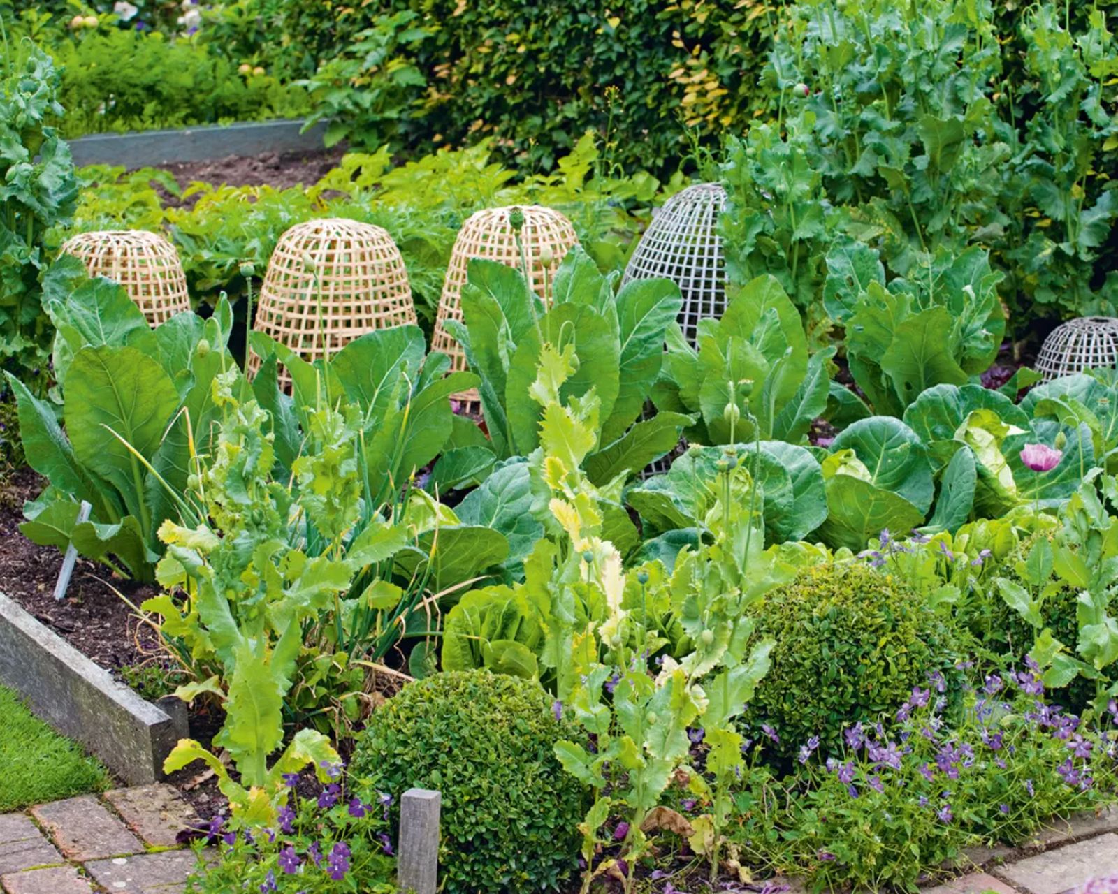 Does a vegetable garden add value to a home? Real estate experts weigh