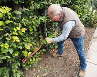 man cutting a hedge with a cordless hedge trimmer