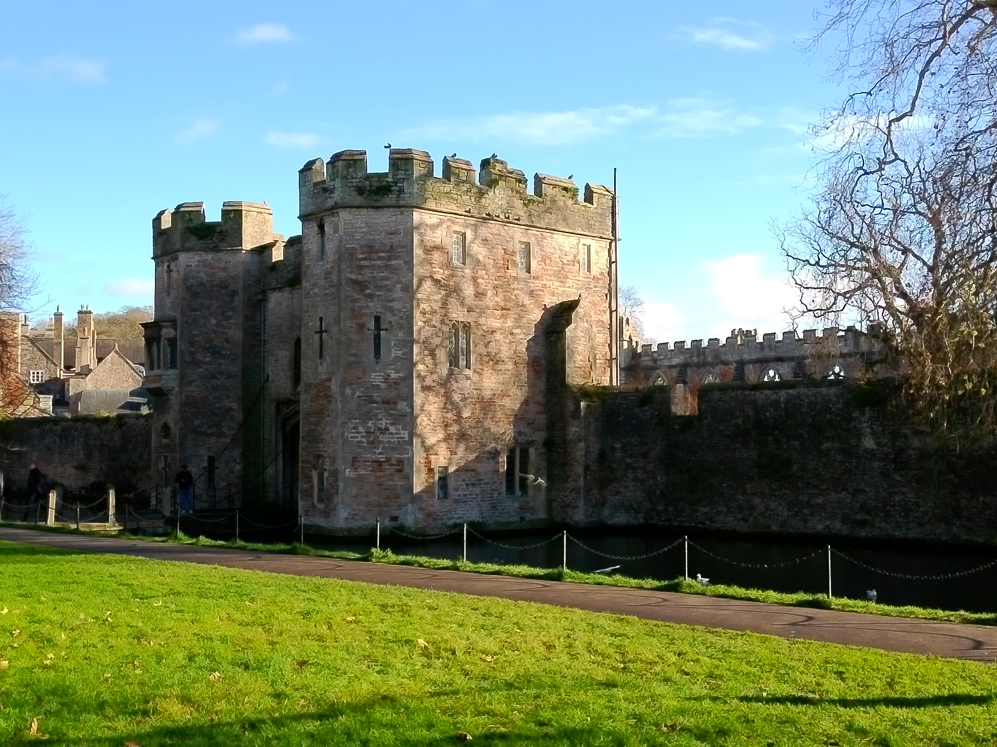 Yashica City 300 example shot