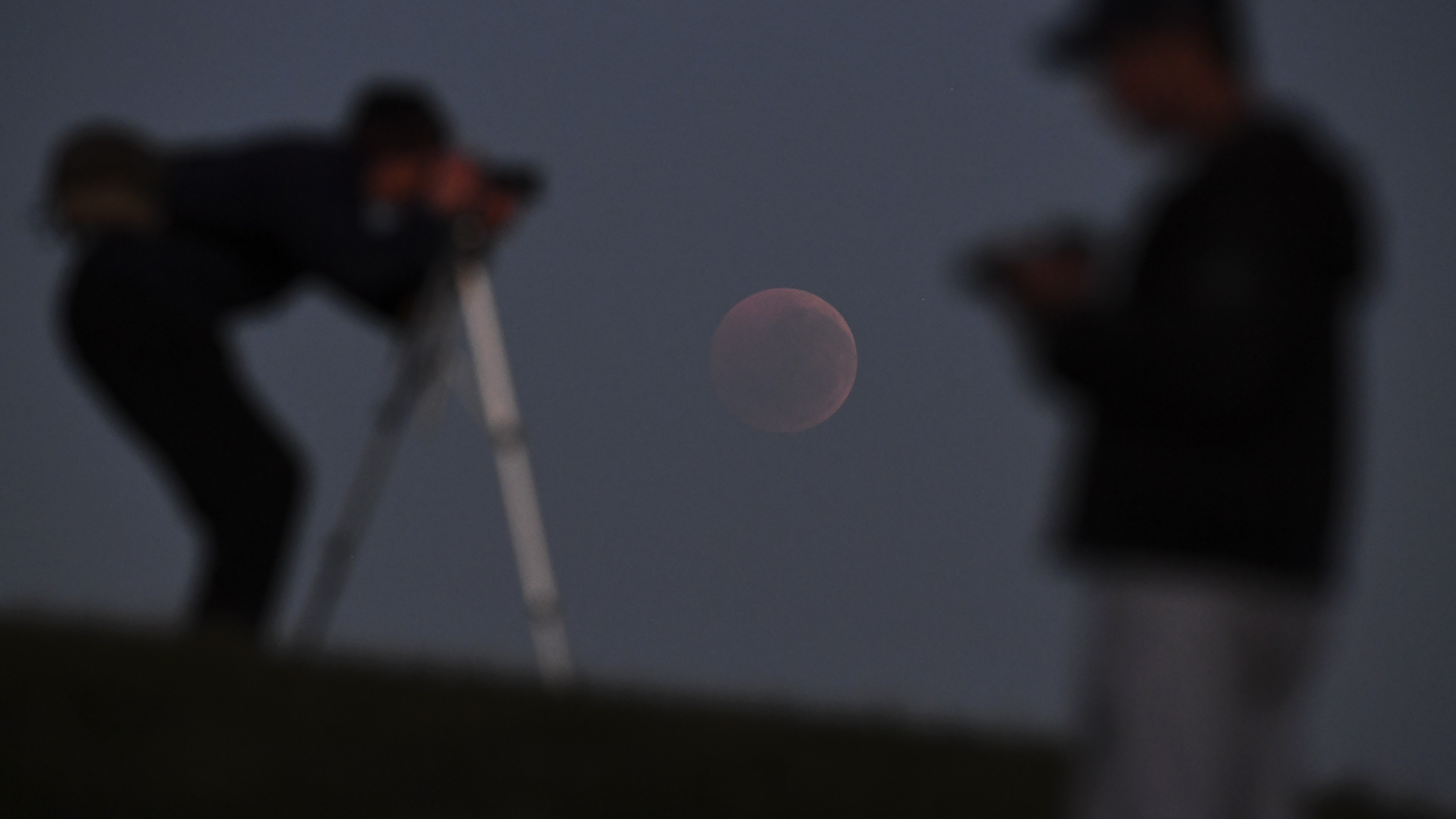 a person bends over to look through camera lens pointed at a low lying blood moon