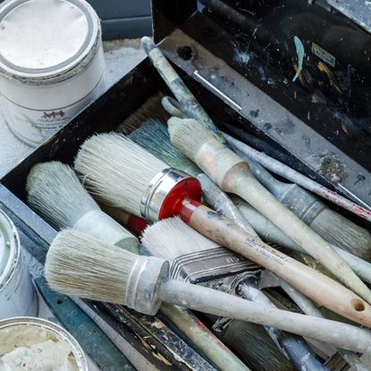 A tray with painting brushes