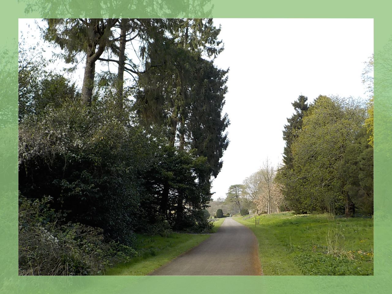 Nikon W150 review Image Samples