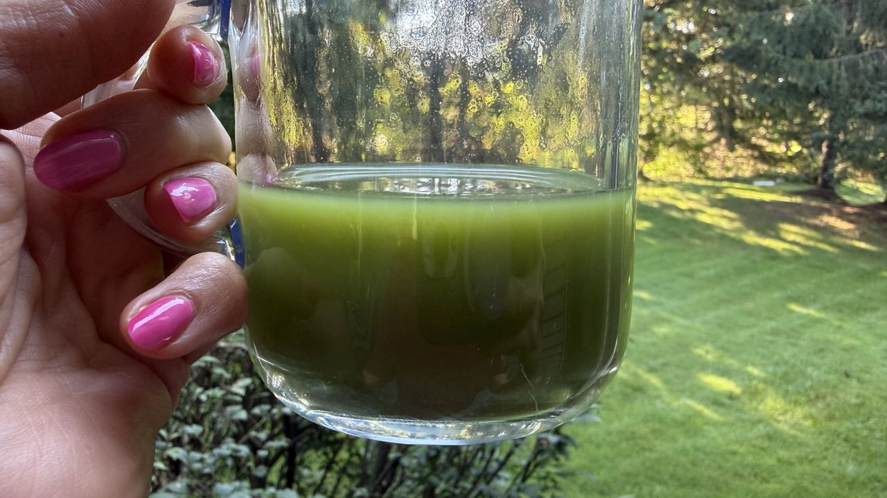 Terra Kaffe Aero making matcha