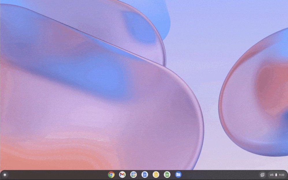 Google Chrome Os Flex