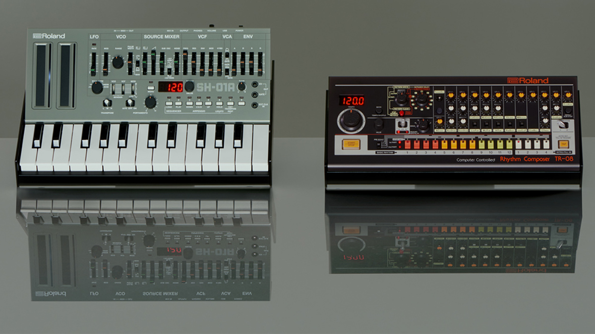 Roland tr 101 Clearance