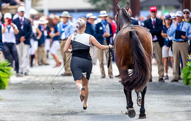 WEG eventing trot-up fashion