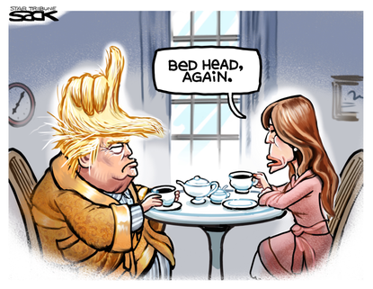 Political Cartoon U.S. Trump Melania election loss