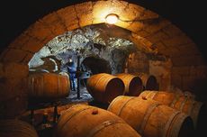 loire wine, domaine des roches neuves