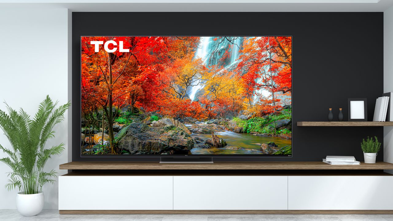 The 2022 TCL R655 hanging on a wall in a living room.