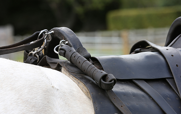 A saddle to do a job