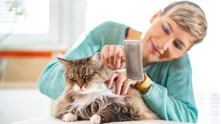 How often should I brush my cat? A woman with short blond hair brushing a long haired cat 