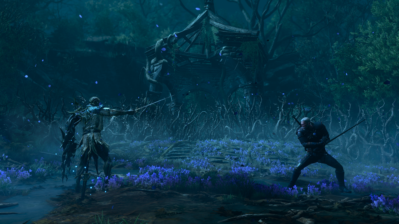 The Witcher 3 Songs of the Past
