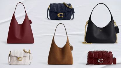 Coach fall handbag collection