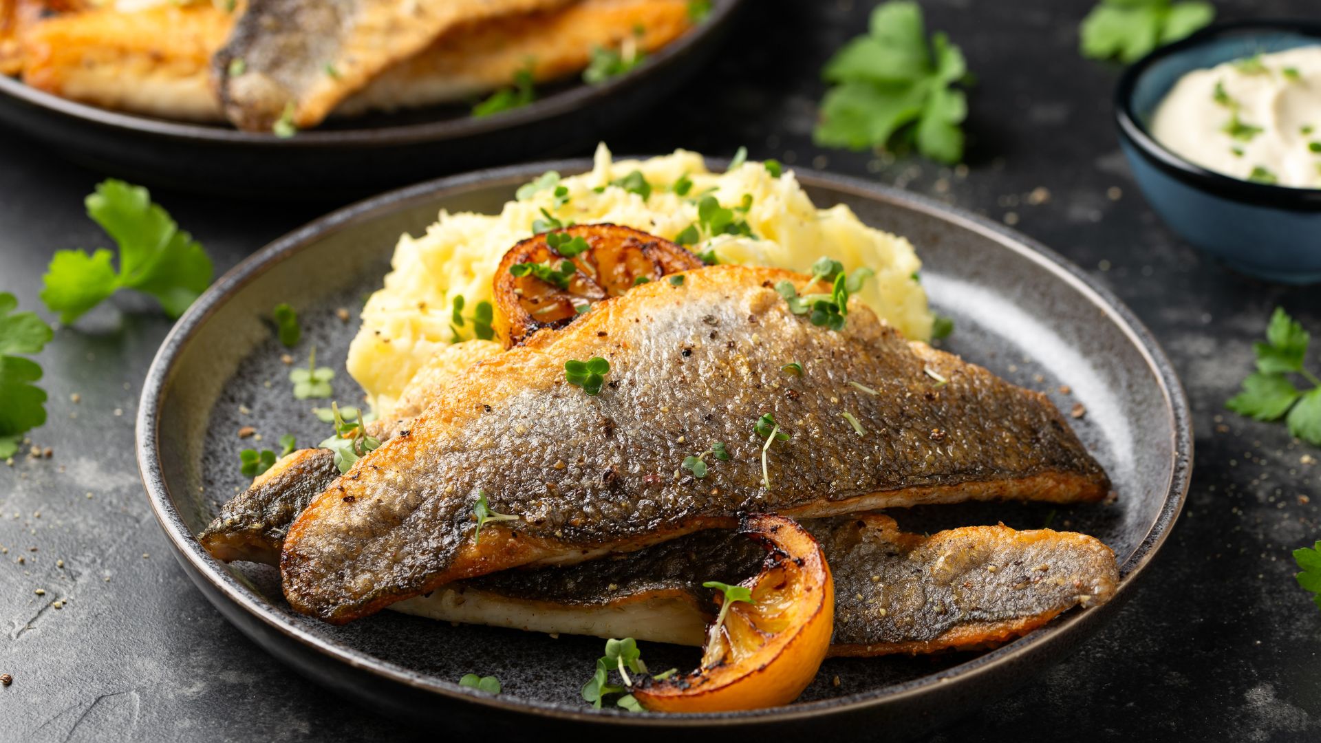Grilled sea bass