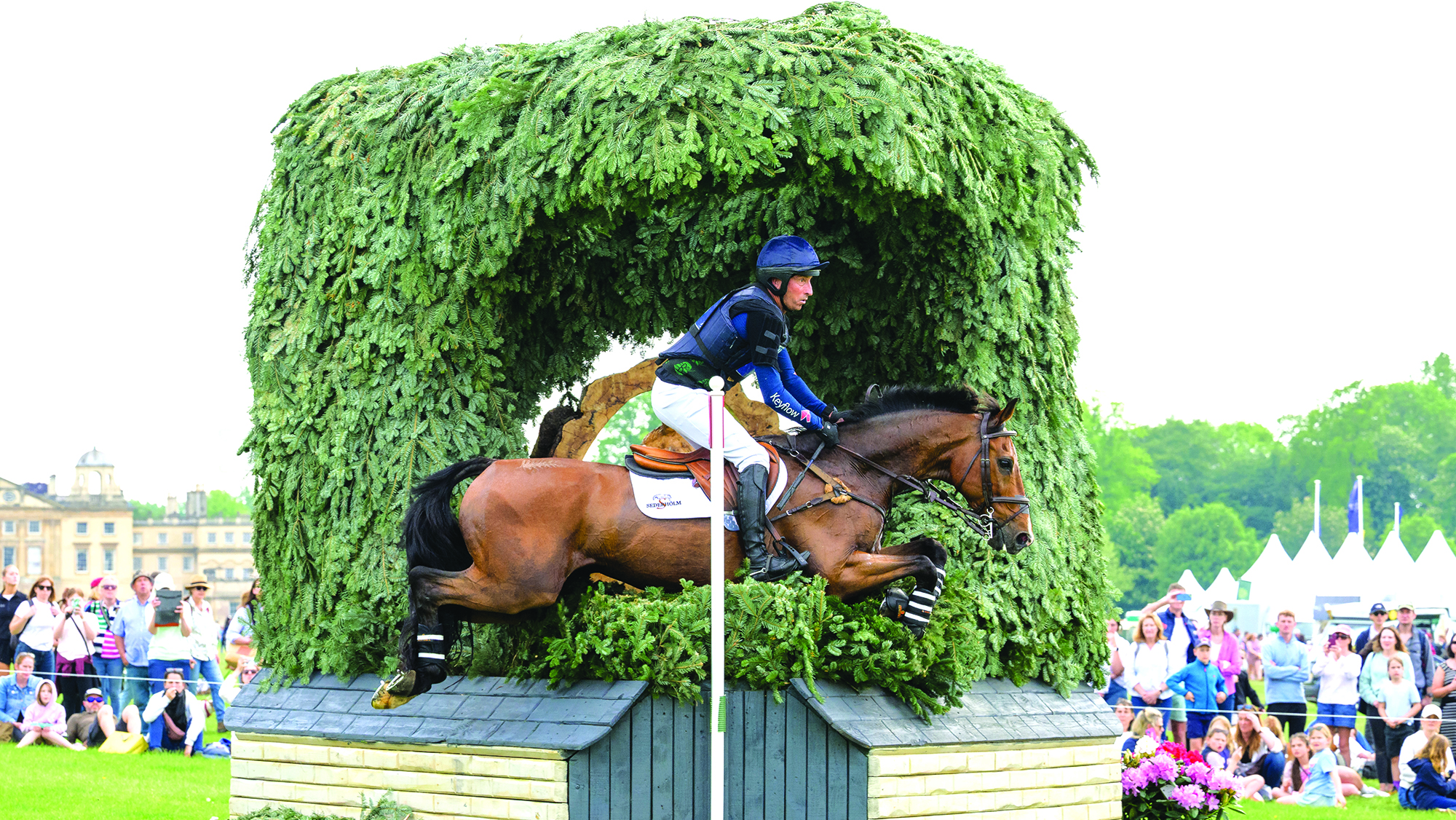 Tim Price, a rider in a blue top and hat, rides bay horse Falco over a corner fence with a brush roof at Badminton 2025