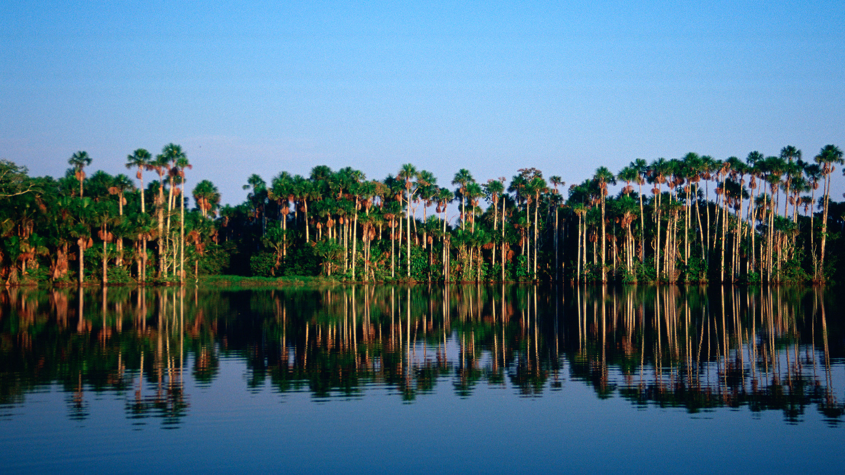 The VOCs released by a rainforest keep the atmosphere above it clean and chemically balanced. Here, Lake Sandoval in the protected reserved zone Tambopata within the Peruvian rainforest in South America.