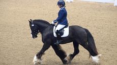 Diane Grinyer and Jack In A Box at the Winter Dressage Championships 2023