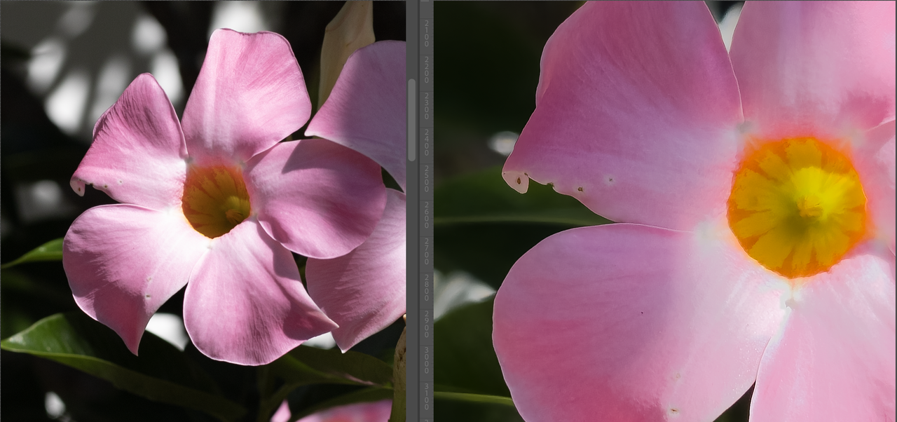Images RAW test