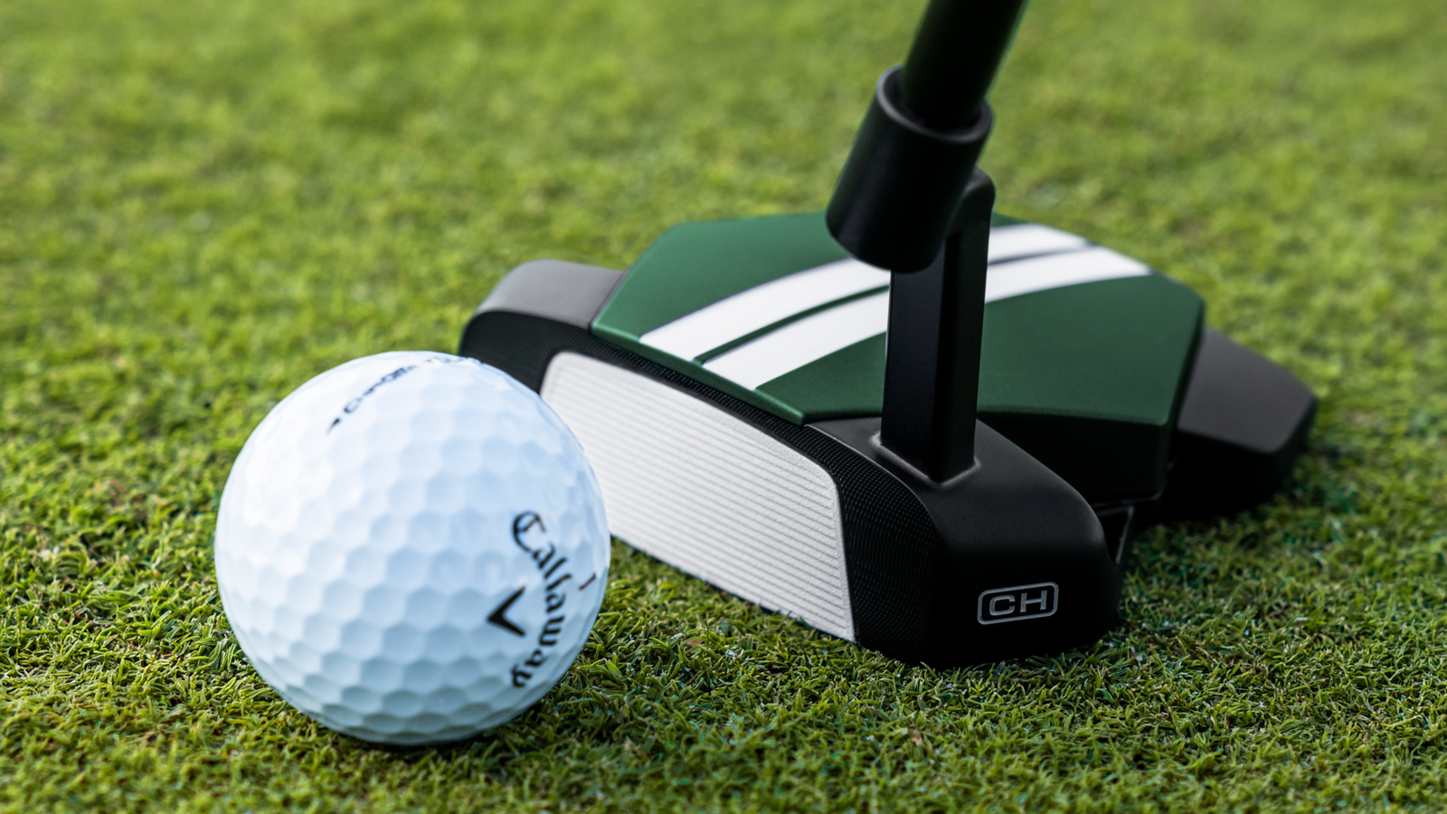The Odyssey TRTL putter at address