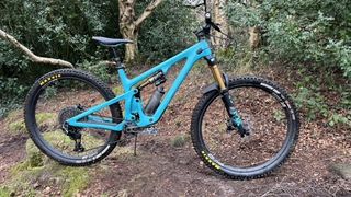 Yeti SB140 T3 XO profile with a forest back drop