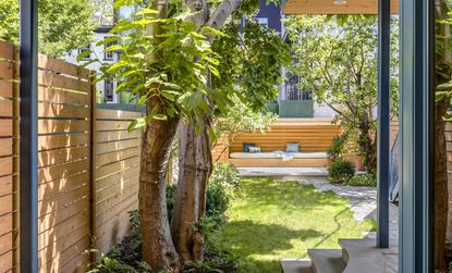 A small backyard with a tiny seating, and a tall tree for privacy