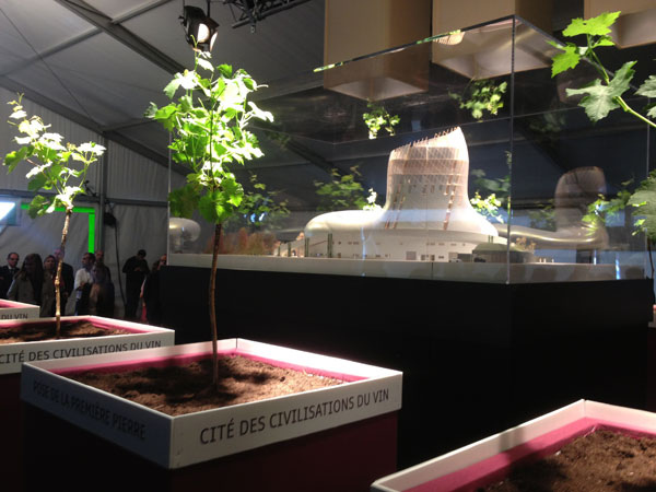 Cite des civilisations du vin
