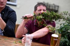World Stinging Nettle Eating Championship