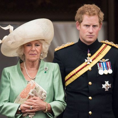 Camilla, Queen Consort, Prince Harry