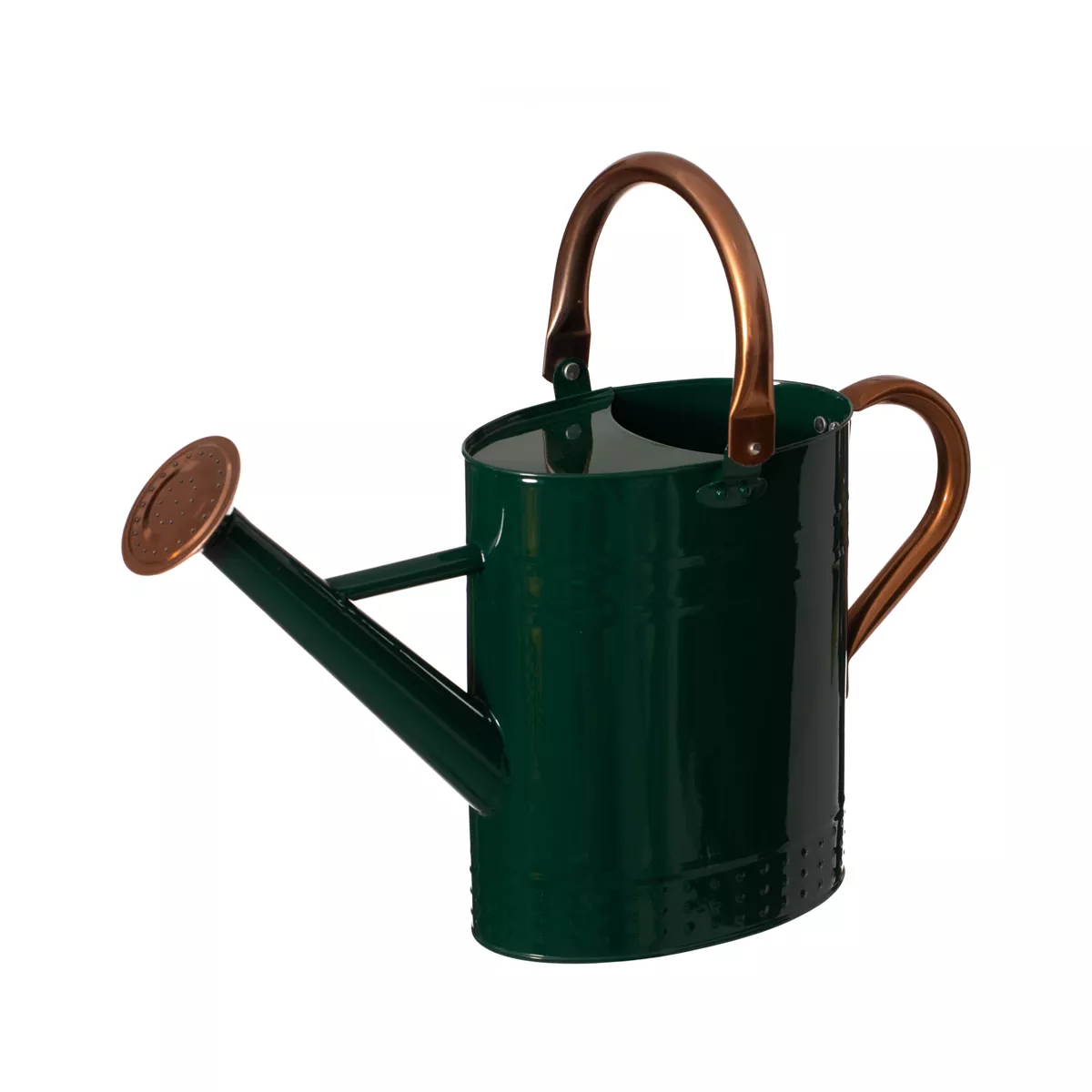 1 Gallon Metal Watering Can With Long Spout &amp;amp; Sprinkler Head, Green