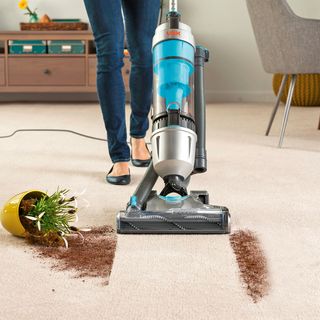 room with vacuum cleaner and plant pot