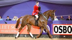 HorseNo568_HOYS_PN24_172630-2.jpg