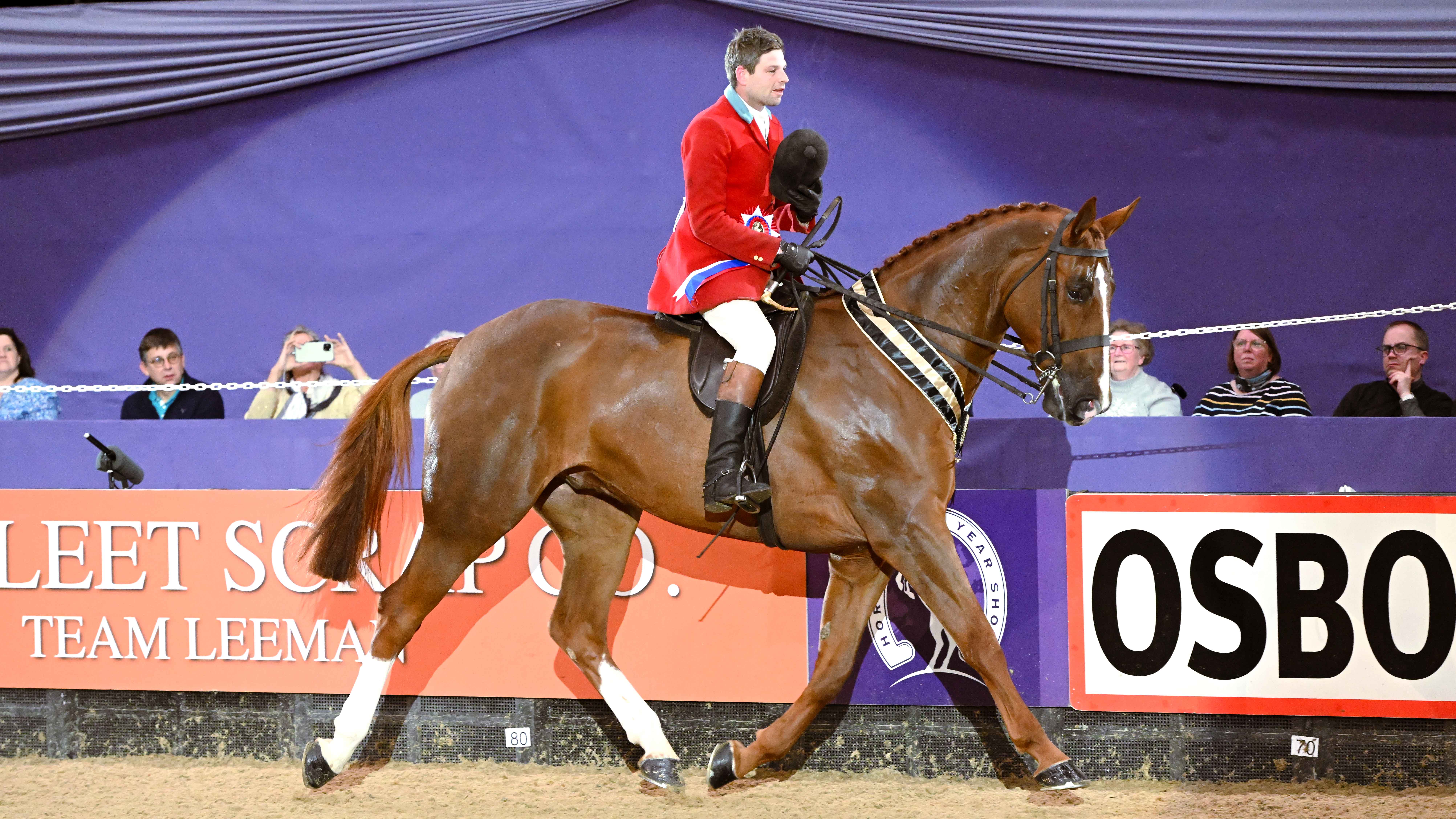 HorseNo568_HOYS_PN24_172630-2.jpg