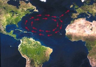 A map of loggerhead migration pattern