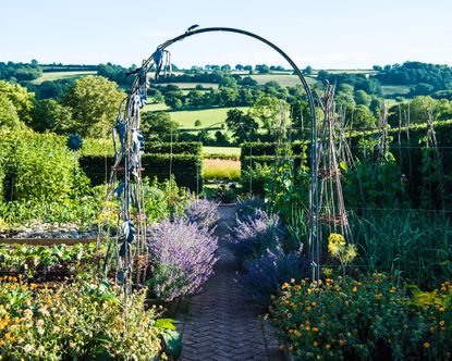 Arch in kitchen garden