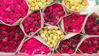 Mother's Day online flower delivery services