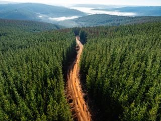 The SEVEN Gravel Race from Nannup Western Australia, with the location hosting the UCI Gravel World Championships in 2026
