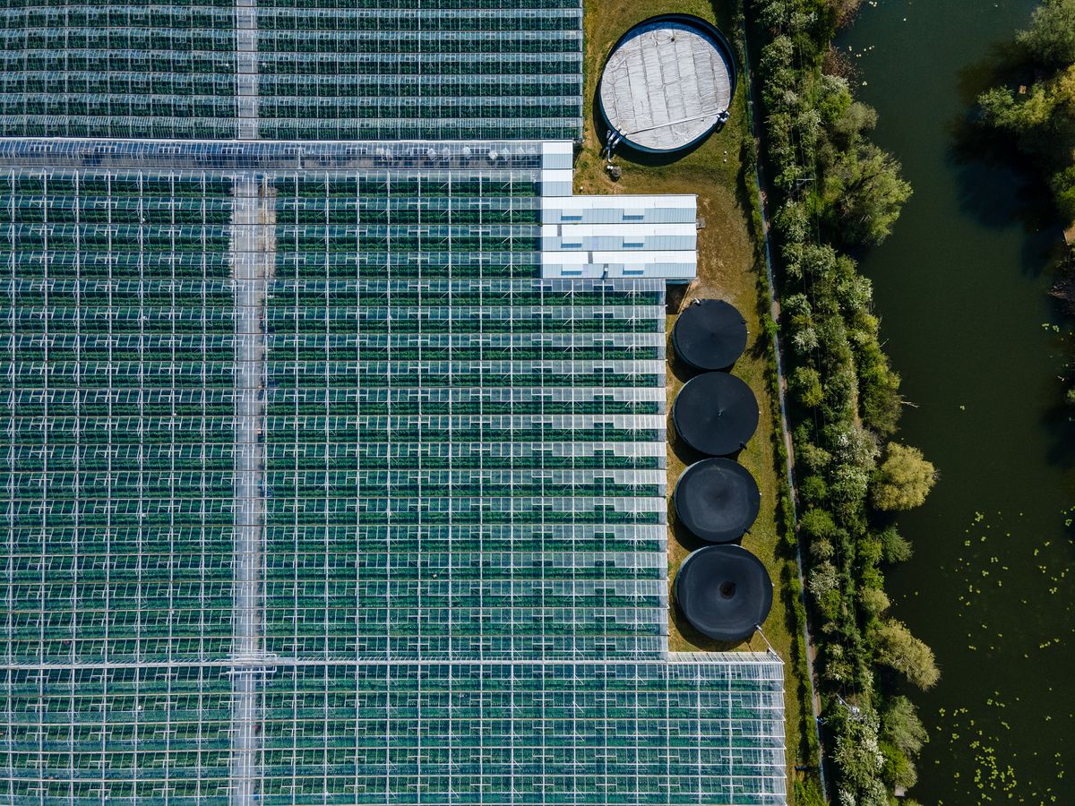 DJI Mavic Air 2 stills image quality