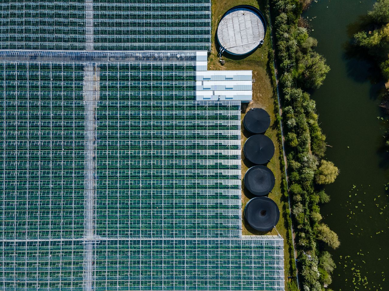 DJI Mavic Air 2 stills image quality