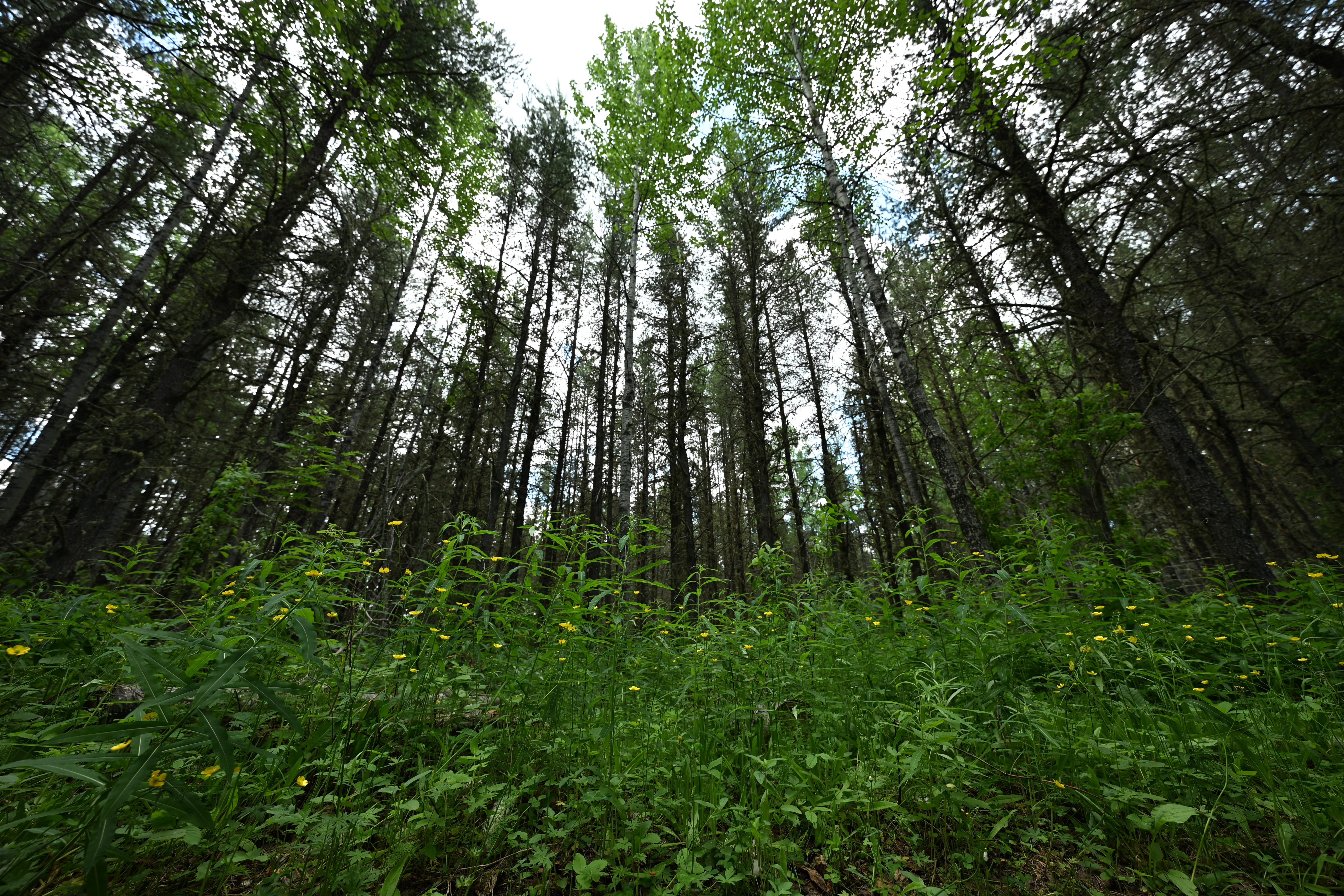 An image sample from the Tamron 12-20mm f/2.8 and the Nikon Z6 III