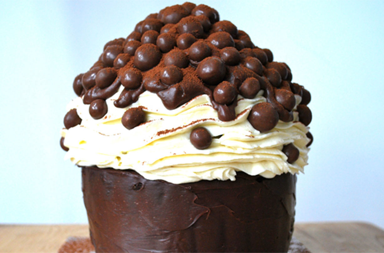Giant Chocolate Cupcake - The Cookie Writer