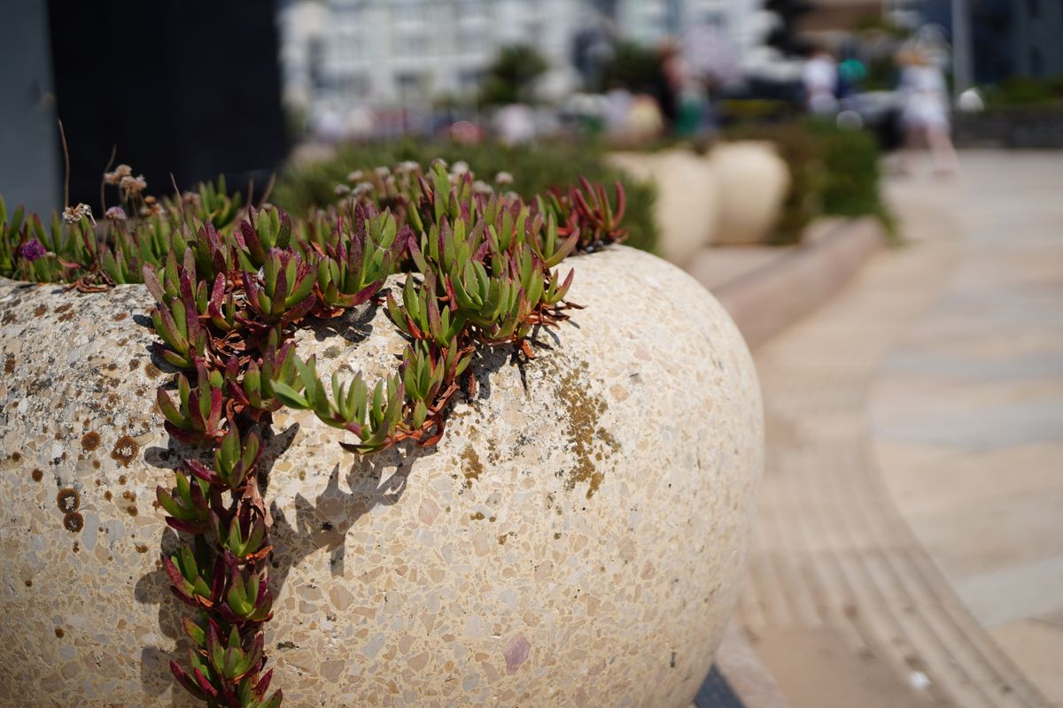 Tamron 35-100mm f/2.8 Di III VXD sample image