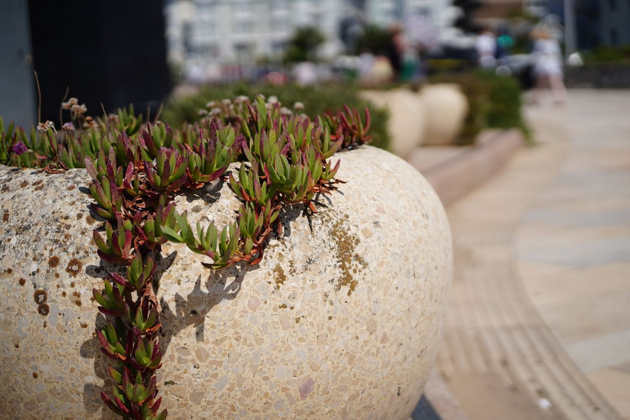 Tamron 35-100mm f/2.8 Di III VXD sample image
