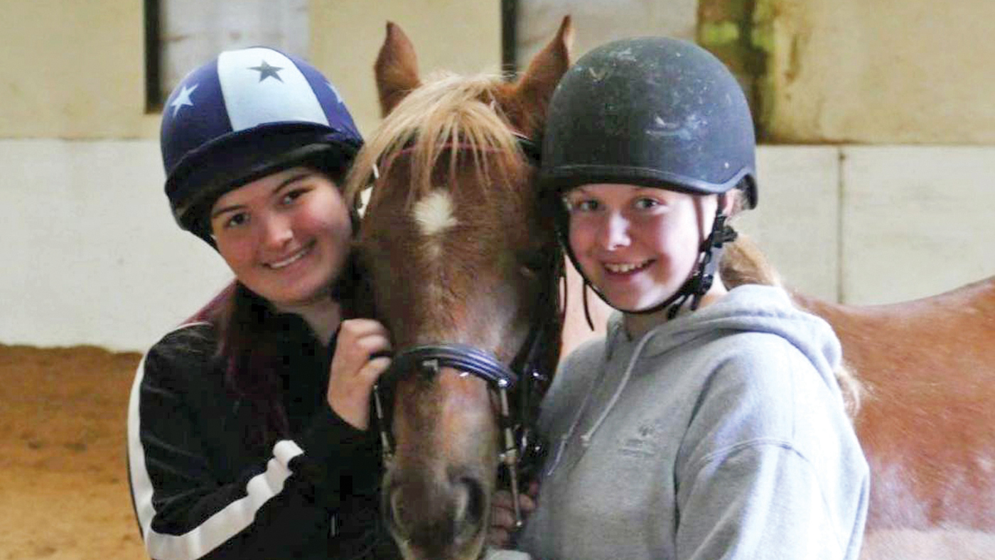 Horse World