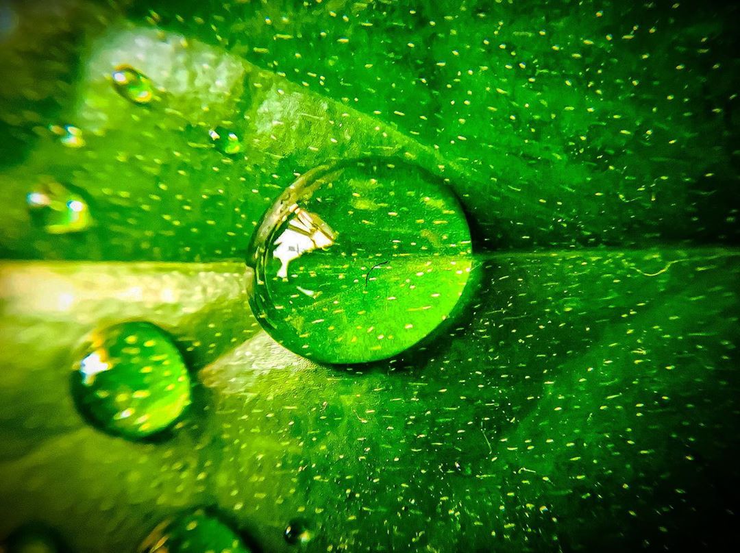 GuruShots - Nature&rsquo;s Masterpiece 2026