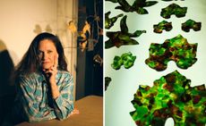 Andrea Bowers and glass leaves on a lightbox, part of her artwork for Ruinart