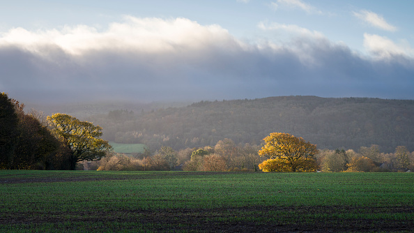 The Mendip Hills are home to many celebs