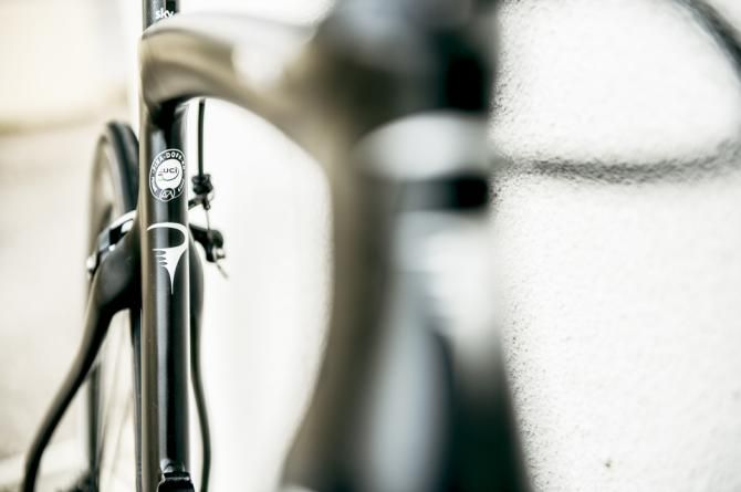 Sleek likes along the Pinarello Dogma