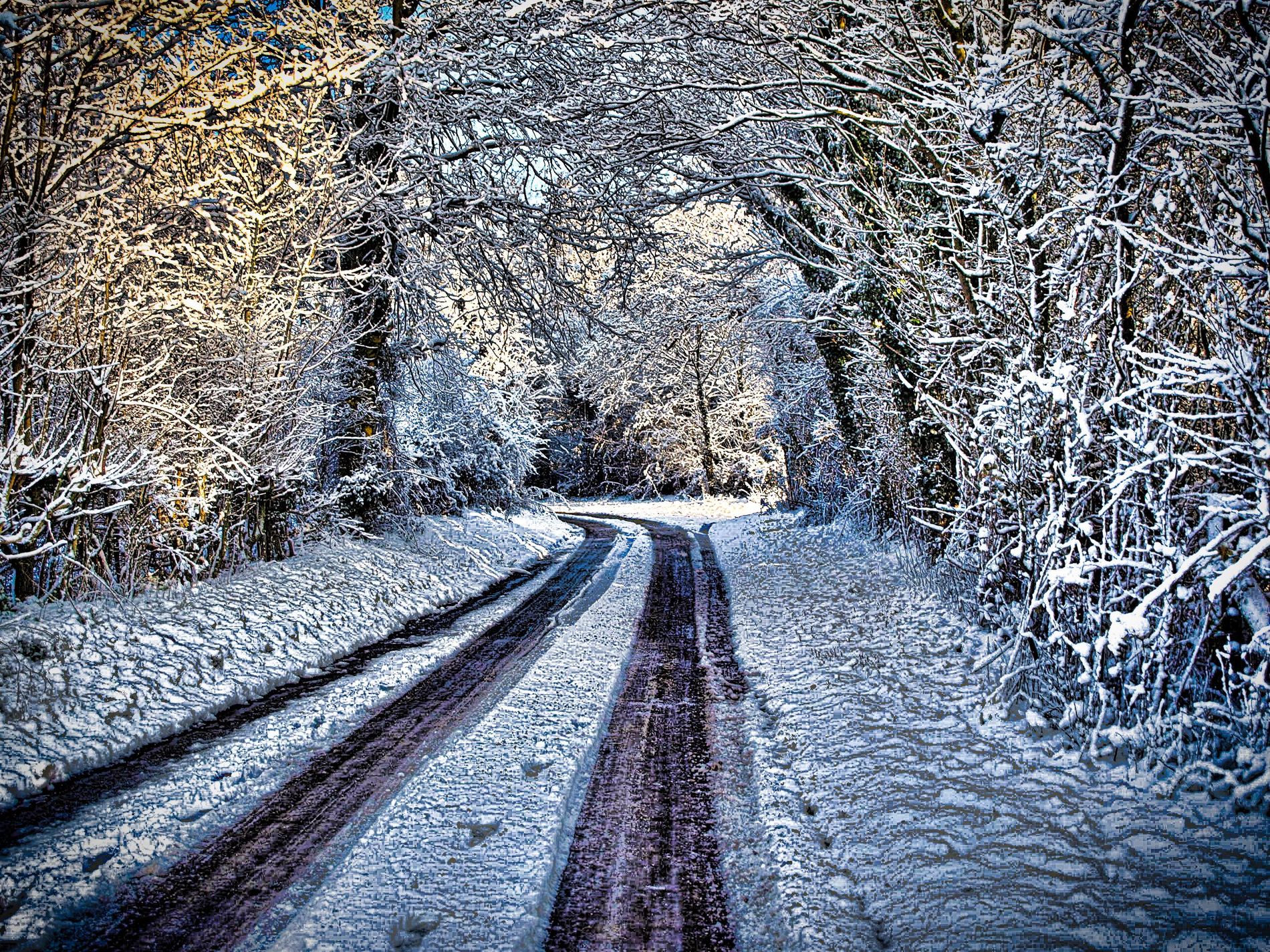 GuruShots - February 2026