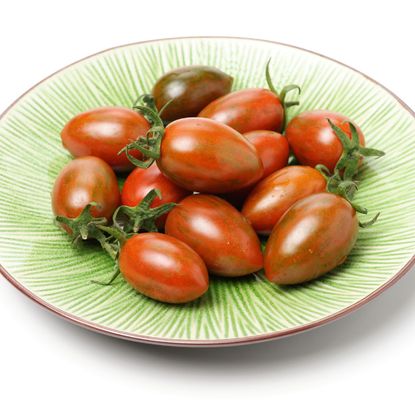 small variety of oval shaped tomatoes in a bowl 